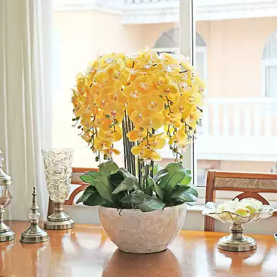 And home feel simulation phalaenopsis suit Green plant potted floral indoor living room dry flower decoration fake flowers