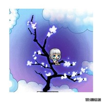 冒险岛 暗影树的花椅子 全区全服