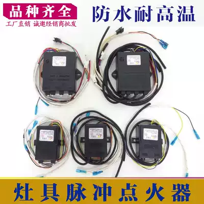 Gas stove accessories electronic pulse High Voltage package igniter gas stove flameout buzzer alarm controller