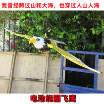 2538C street stall toy electric hanging line flying eagle bird cable electric flying bird sling circle rotating Silent Light