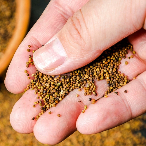 Синьцзян Юки Шелк 500G Внутренняя Монголия подлинная 菟 菟 菟 菟 子 子 子 子 子 子