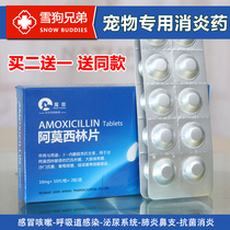Moga Amoxicillin Tablets Fever Diarrhea Pets Dog cold medicine cough Cat Bronchial Anti-inflammatory Pneumonia