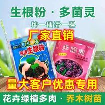 Fast rooting powder multi-bacteria heart-fungicide 100 Worlworm insecticide Insecticide Disinfectant Feuds plant fruit tree Transplanting Fertilizer