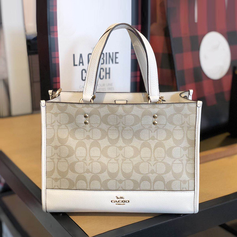 Shanghai Warehouse's Recommended Versatile Printed Tote Bag Shopping Bag, Genuine Leather, Selected Quality Items L528 Shoe and Boot Packaging