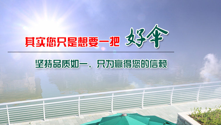 Римский зонтик голова picture_01.jpg