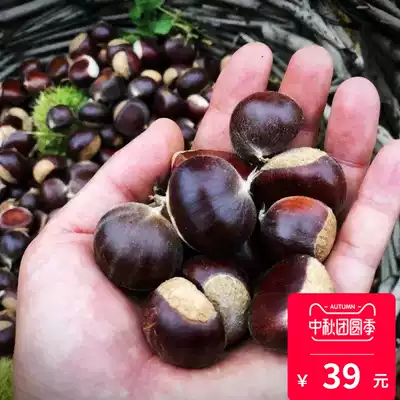 Yunnan Dali Shanshan century old tree fresh chestnut 2020 Season oil chestnut naturally mature 5kg