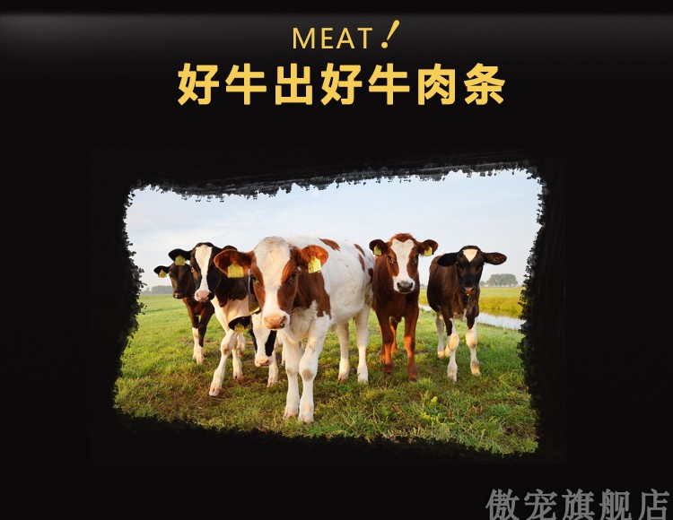 Tự hào chó ăn nhẹ chó thịt bò dải 400g thú cưng ăn vặt gấu bông vàng đào tạo phần thưởng đào tạo - Đồ ăn vặt cho chó hạt nutrience