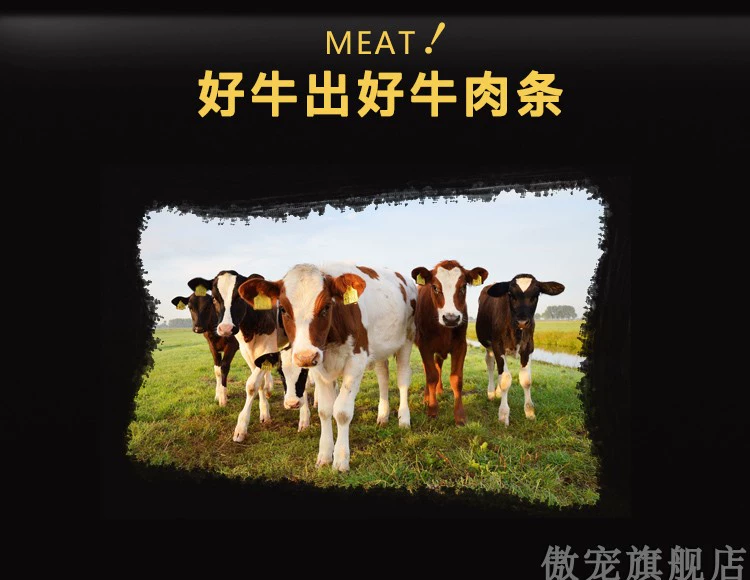 Tự hào chó ăn nhẹ chó thịt bò dải 400g thú cưng ăn vặt gấu bông vàng đào tạo phần thưởng đào tạo - Đồ ăn vặt cho chó