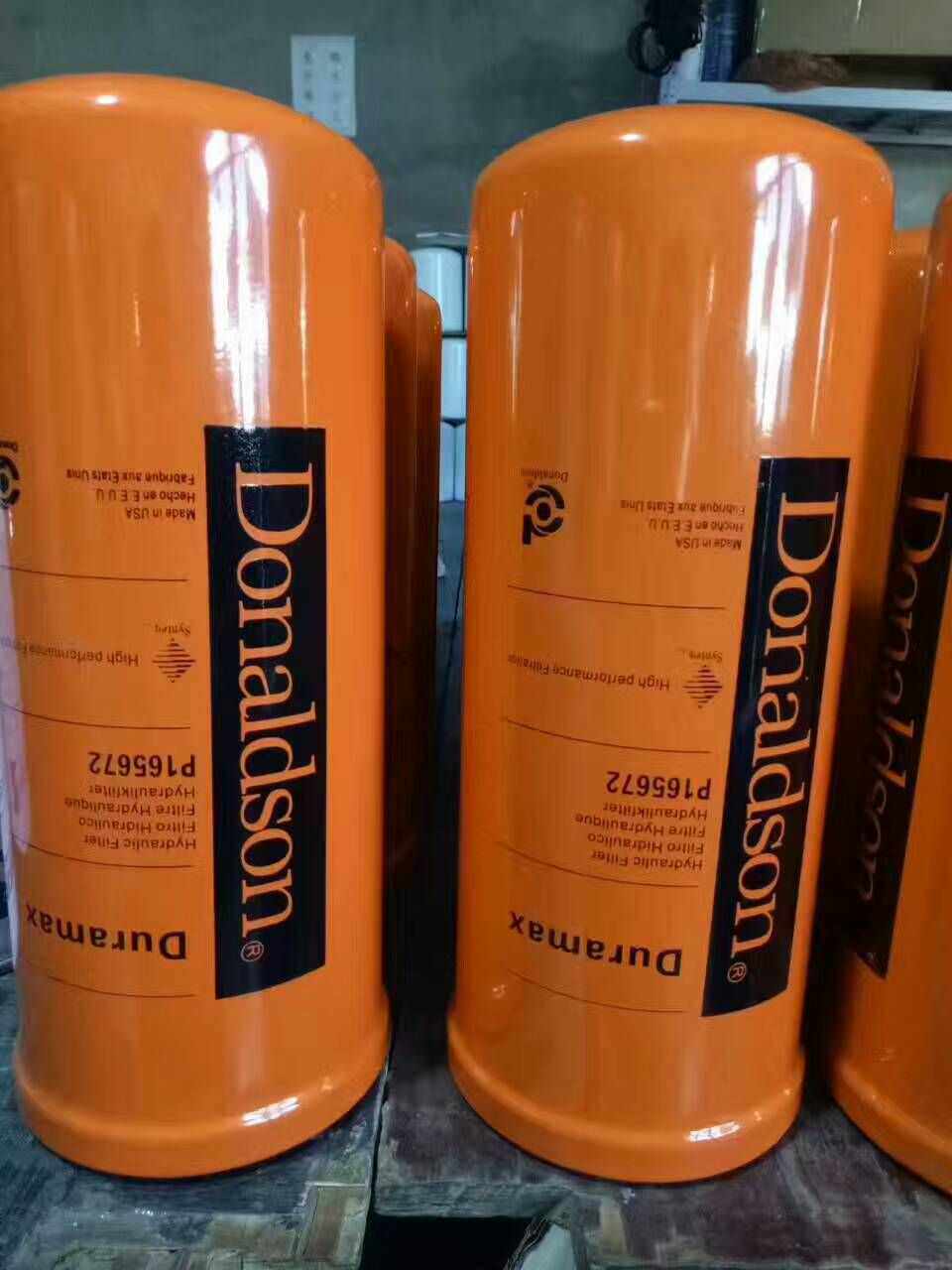 P173789 P173689 P165672 P164378 Hydraulic filter