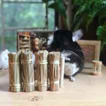 Cat-time 3-dragon cat rabbit Dutch pig nibble with toy natural snacks fence reeds
