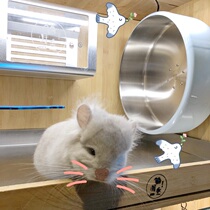 Cat Xinqiu developed dragon cat stainless steel running wheel fitness color mirror polishing 350mm diameter