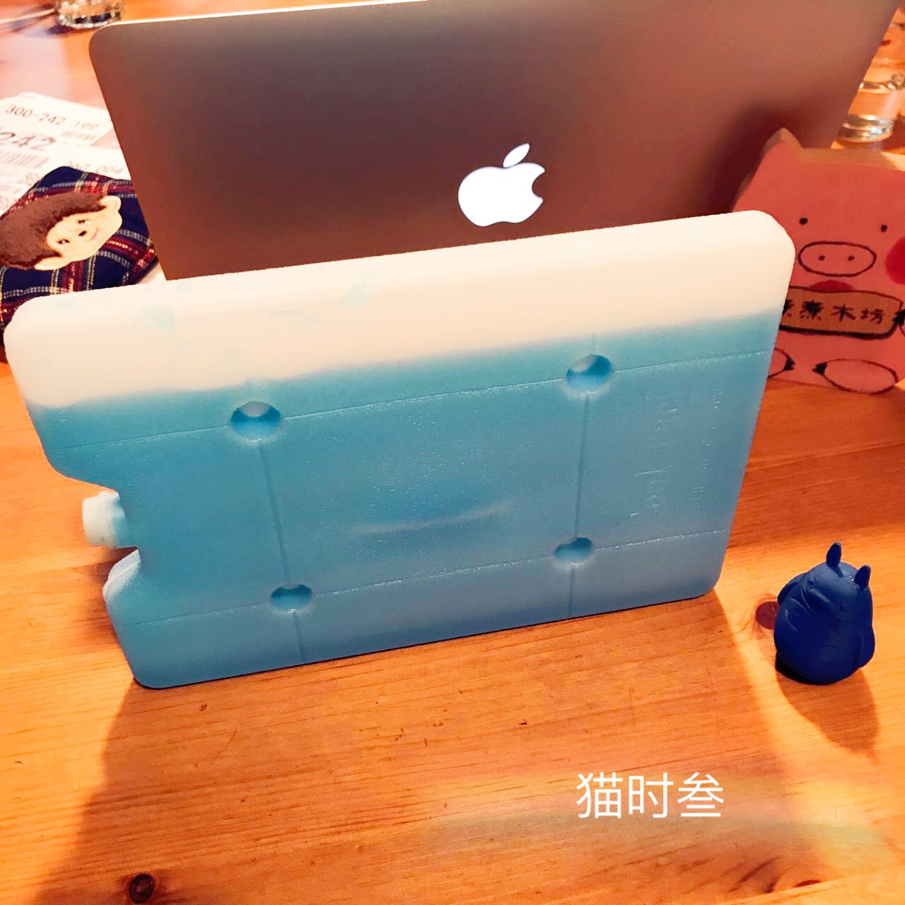 When cat is involved in Qingkui Promotion Dragon Cat Cooling Lasting Environmental Protection Ice Ice box is not common with this store's cooling nest