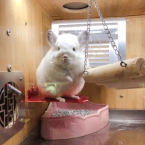 Cat-time 3 original boutique anti-heatstroke heat dissipation alloy dragon cat metal springboard cooling pedal to be told