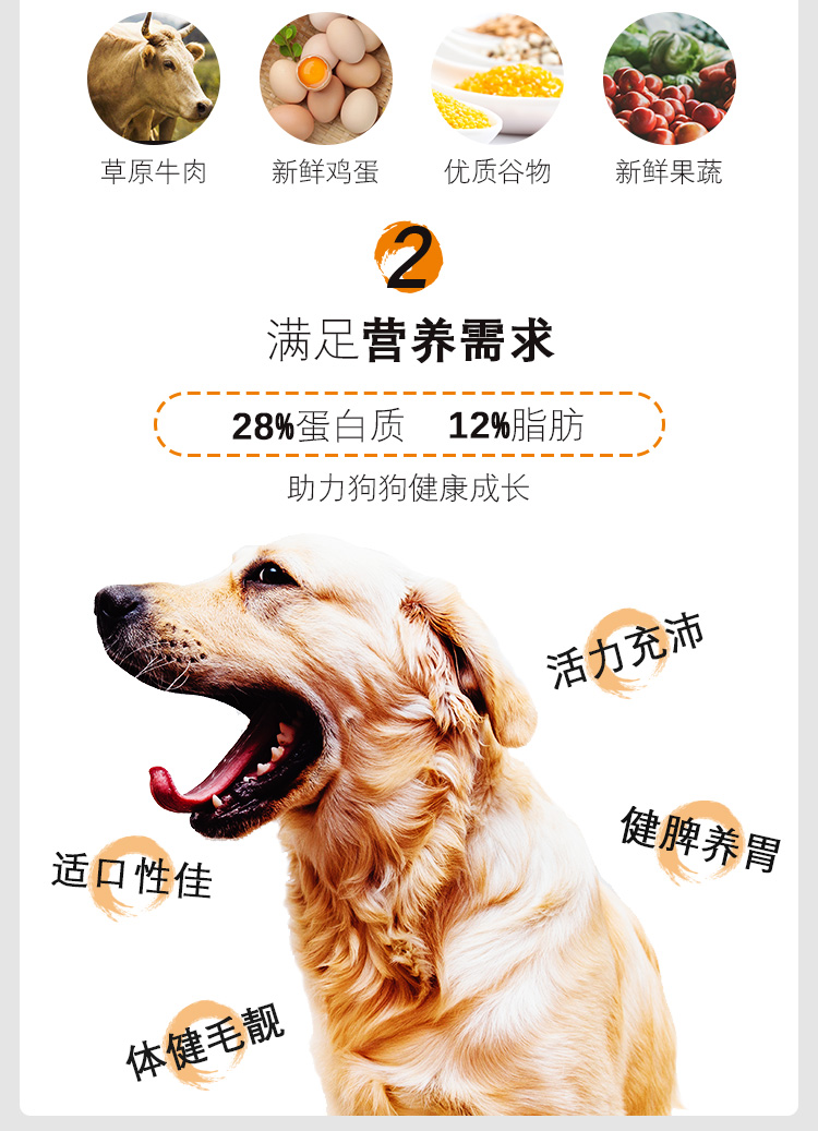 Thức ăn cho chó trả 20kg chó trưởng thành Vàng Lấy chó Labrador đa phương Chó đặc biệt 40 kg - Chó Staples ganador puppy 3kg