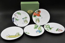 Noritake Japan Totoro vegetable tableware cake dessert plate 15 5cm 5 gift box set