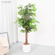 Simulated Green Plants, Indoor Artificial Trees, High-End Banyan Trees, Bionic Plants, Real Tree Trunks, Large Floor-Standing Potted Plants, Landscaping, Small-Leaf Banyan Trees