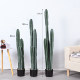Simulated Cactus Tropical Desert Green Plant Landscaping Indoor Staircase Under-Window Decoration Large Ornament Fake Cactus Column