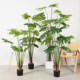 Nordic Style Turtle Leaf Artificial Green Plant Large Potted Indoor Living Room Office Floor Decoration Fake Tree Ornament