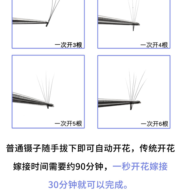 Ghép lông mi Camellia Lông mi Tự động Một giây ra hoa Thông minh Từ dày Nước chồn Làm đẹp Lông mi Sai các loại mi giả
