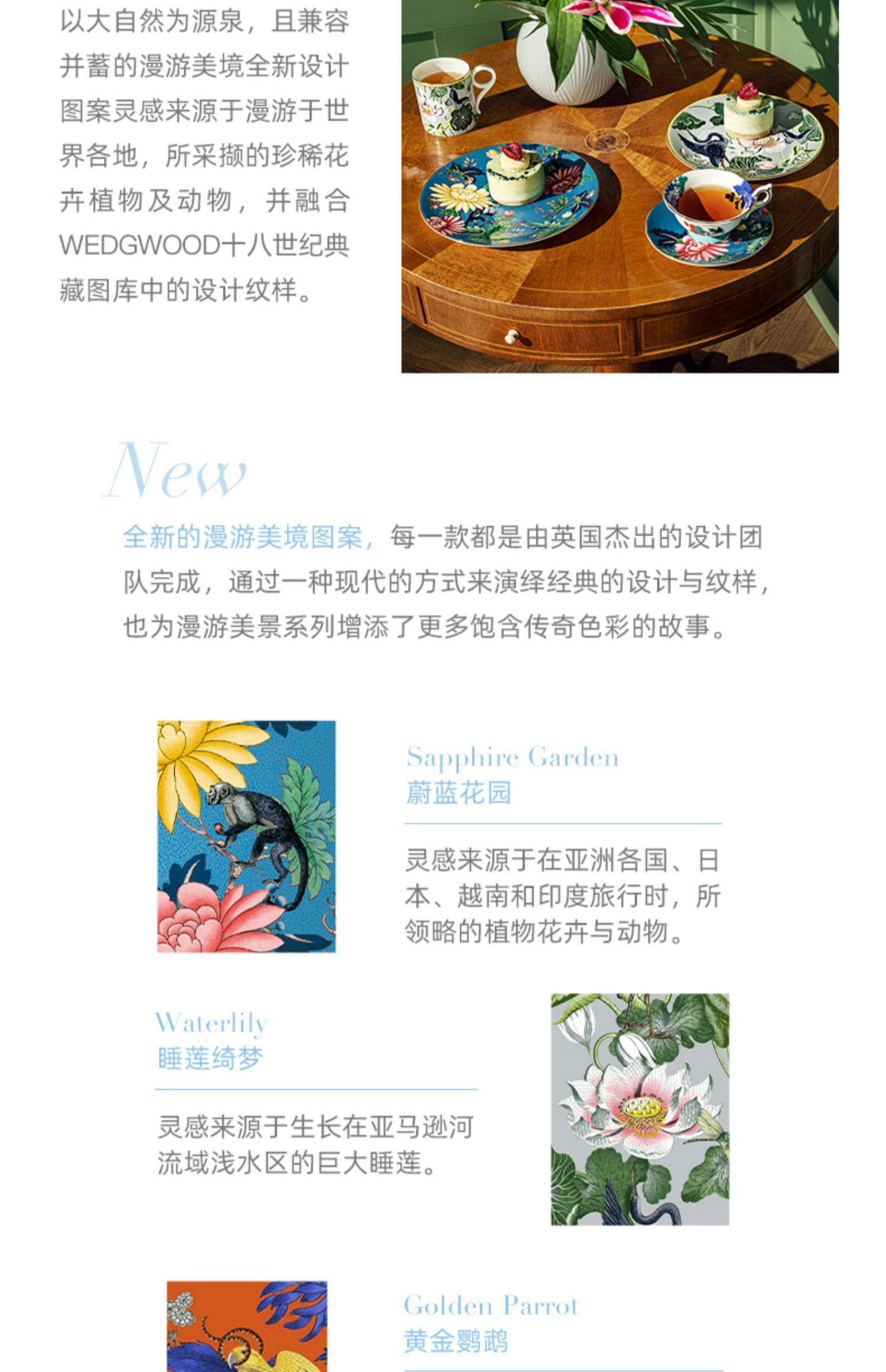 WEDGWOOD 玮致活 Wonderlust 漫游美境系列 骨瓷马克杯礼盒 250ml 88VIP会员折后¥217.28包邮包税 4款可选