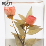 The Beast/Beast Pie Garden Garden Cream Scattered Aragrance Box Set Новый свадебный подарок свадеб