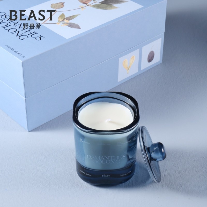 Thebeast Fauvist Home Scented Candle Bedroom Scent Wedding Birthday Valentine's Day Gifts for Girlfriend