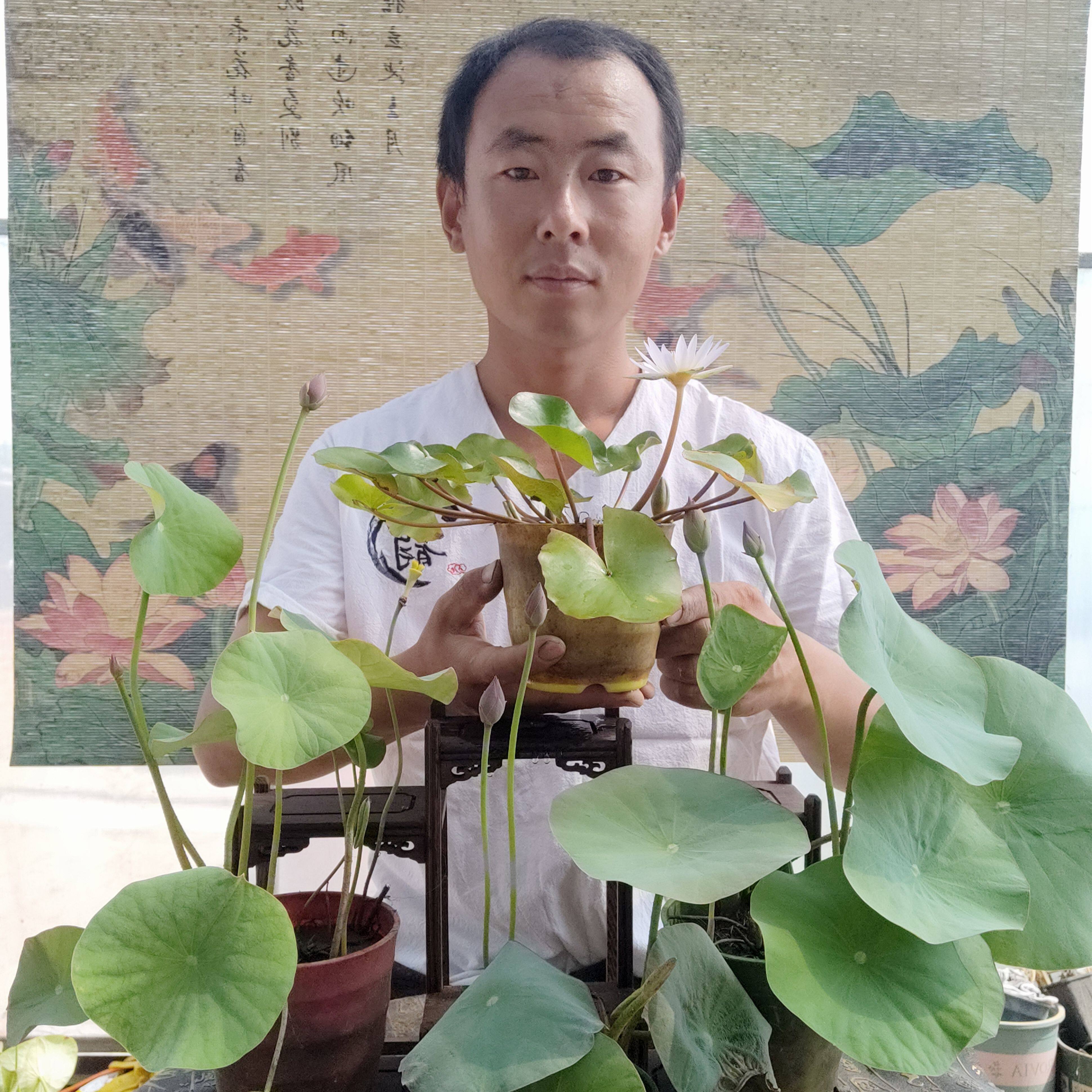 荷花哥 清菡荷园花卉园艺的LOGO