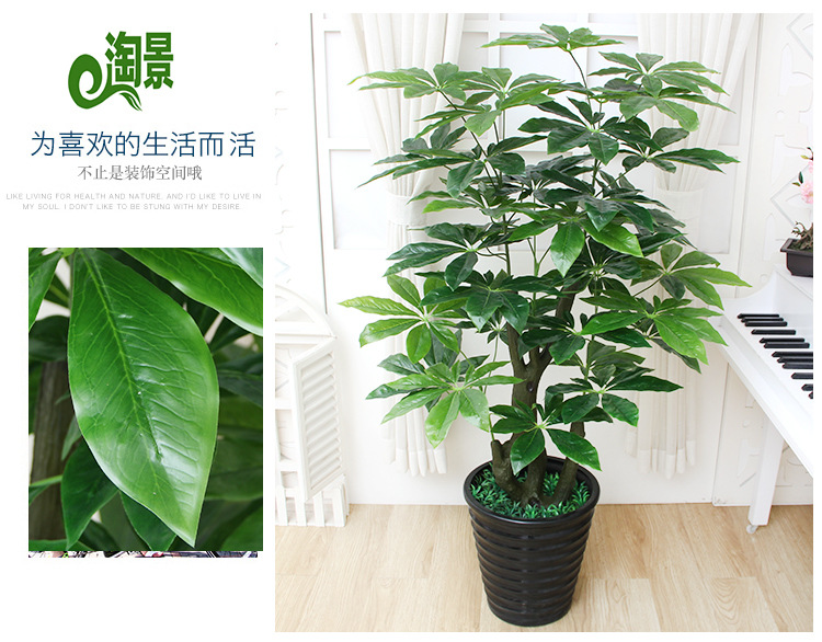 Amoy mô phỏng mô phỏng cây may mắn trong chậu cây phòng khách trang trí tiền cây nhựa hoa nội thất bonsai - Hoa nhân tạo / Cây / Trái cây hoa lan hồ điệp giả