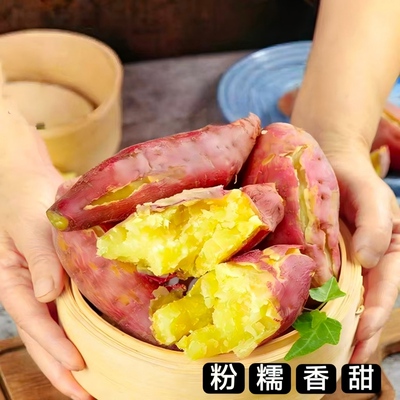 陕西沙地板栗红薯现挖糖心