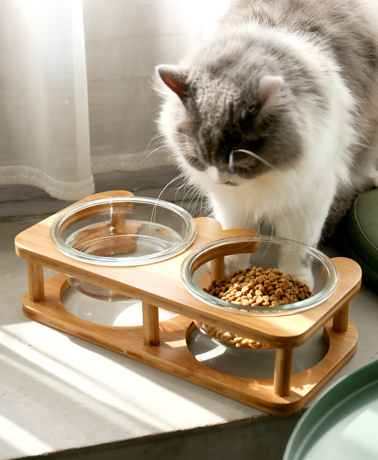 Платформа Glass Cat Bowl_10.jpg