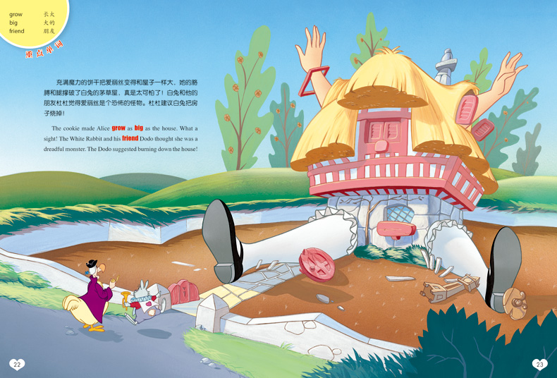 Alice In Wonderland Story Book