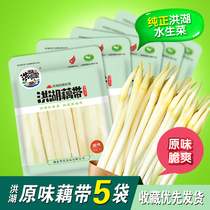 Honghu lotus root fresh lotus root with original lotus root tip bubble with lotus root Honghu fresh 5 pounds crispy and tender Hubei specialty