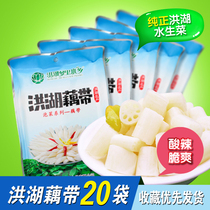 Honghu lotus root with Hubei lotus root Fresh lotus root Small lotus root Sour and spicy lotus root Fresh wild bubble lotus root with Hubei specialty