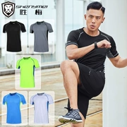 Bộ đồ thể thao nam mùa hè chạy bộ thể dục quần áo ngắn tay năm điểm quần short nhanh khô áo thun thể thao phù hợp với giản dị - Thể thao sau