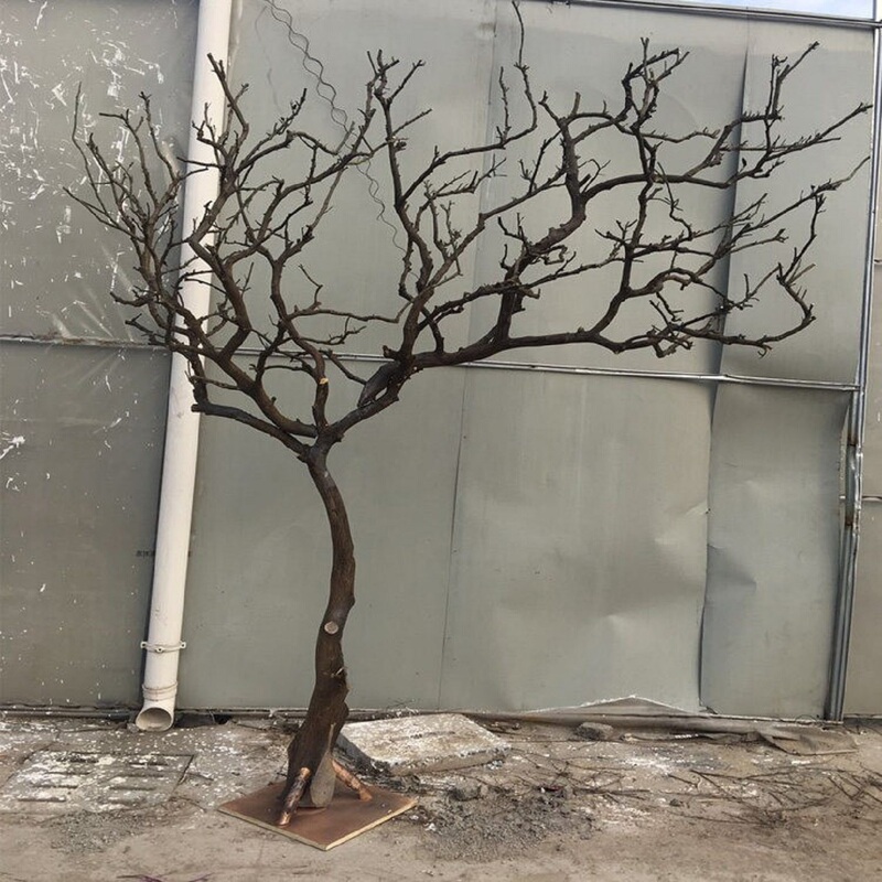 Natural Dried Branches for Creative Landscaping, Living Room and Dining Room Wishing Tree, Indoor Courtyard Decorative Tree, Free Shipping Via Sf Express