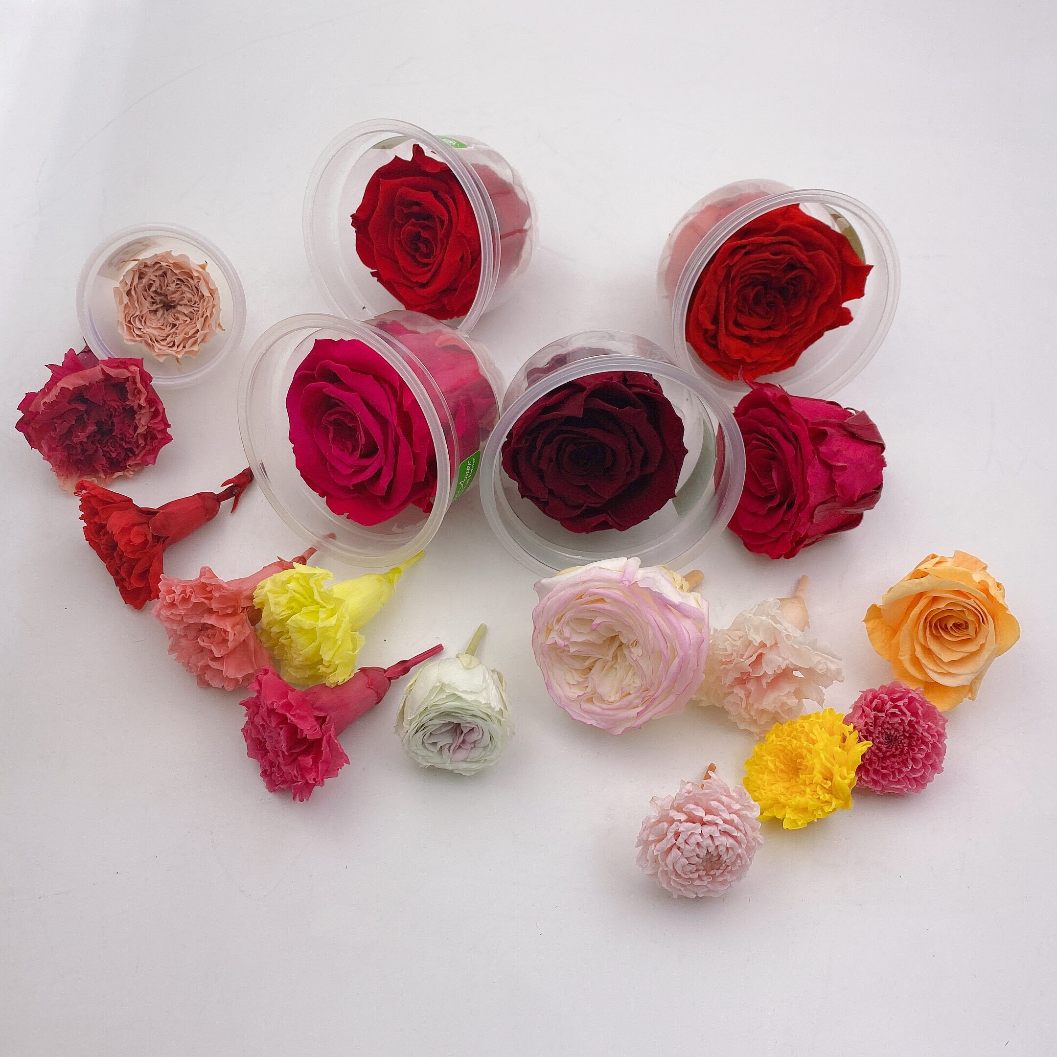 Imported immortal flower flower material novice handmade DIY flower material ins air-dried flower arrangement photo props embossing material