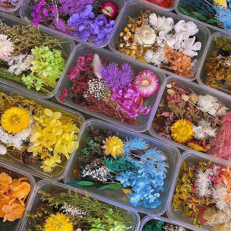 Ultra-value evergreen flower dry flower imperfections Embossed Dripping Glue Material Packs Diy Activities Packing Clear Bin Handling New Hands