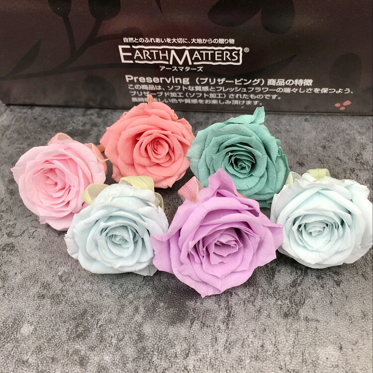 Japan Geodesy Agricultural Park Import Yongsheng Flower Rose 2-3cm Flower Small number 16 Didy flower material 02591
