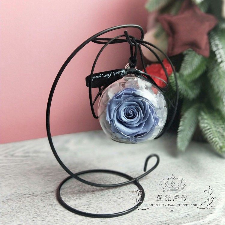 Eternal flower micro-landscape glass ball transparent car hanging ball hanging bottle shelf creative moss ecological bottle diy accessories