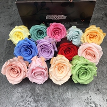 (Flush) Yongsheng Flower Rose (4-4 5cm) Japan Imports the Earth Farmyard Preservation Flower DIY Flower