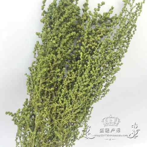 Japan Geodesy Import Yongsheng Flowers Accessories Diy Material Green Grey Rat Bow Grass