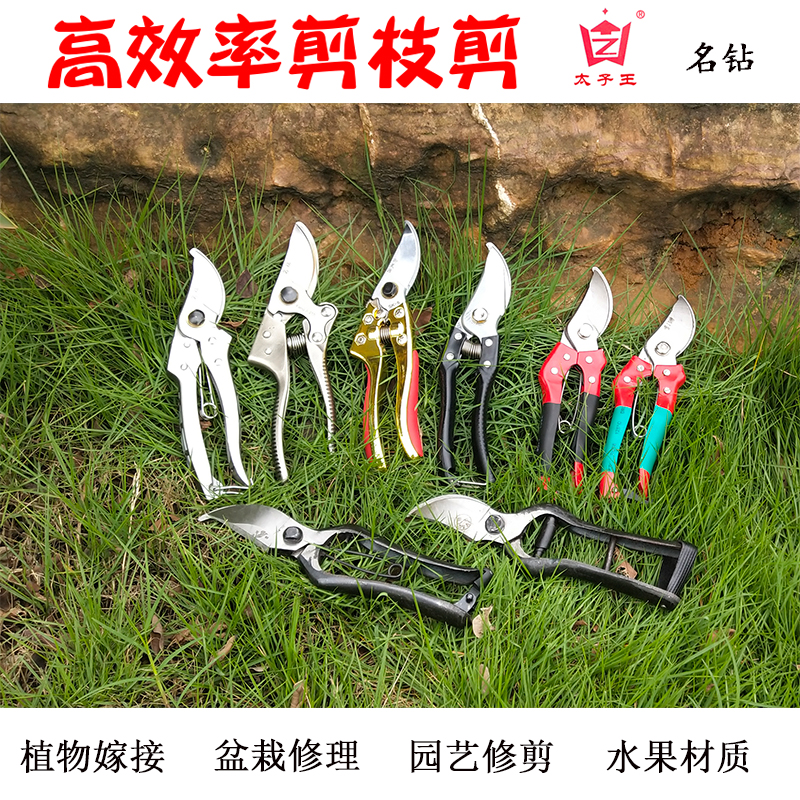 Gardening scissors Pruning scissors Fruit tree scissors Multi-functional household labor-saving branch scissors tool Pruning scissors