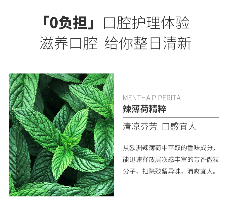日本原装进口  EBISU 惠百施 瓷感炫白牙膏 100g*3支 图9