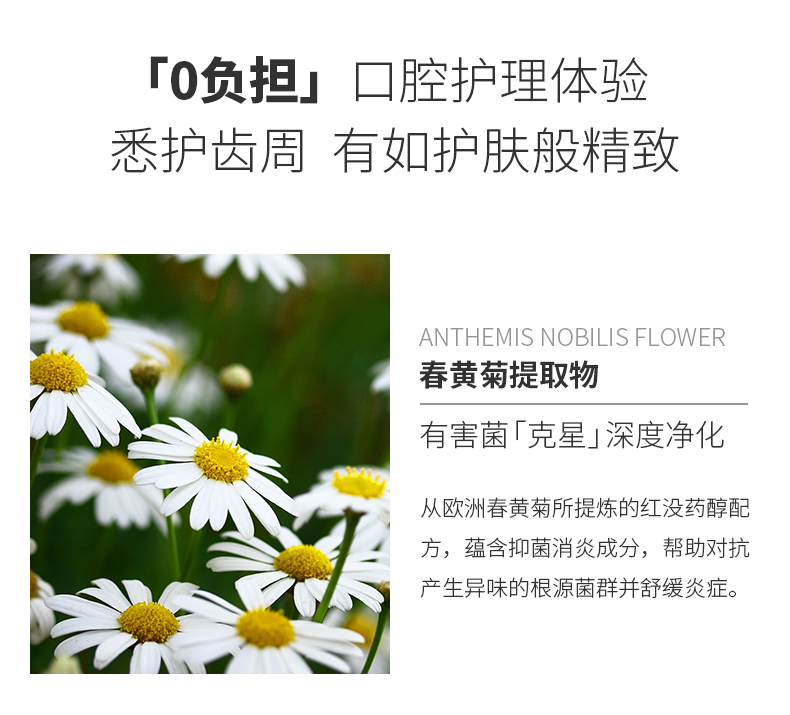 日本原装进口  EBISU 惠百施 瓷感炫白牙膏 100g*3支 图13