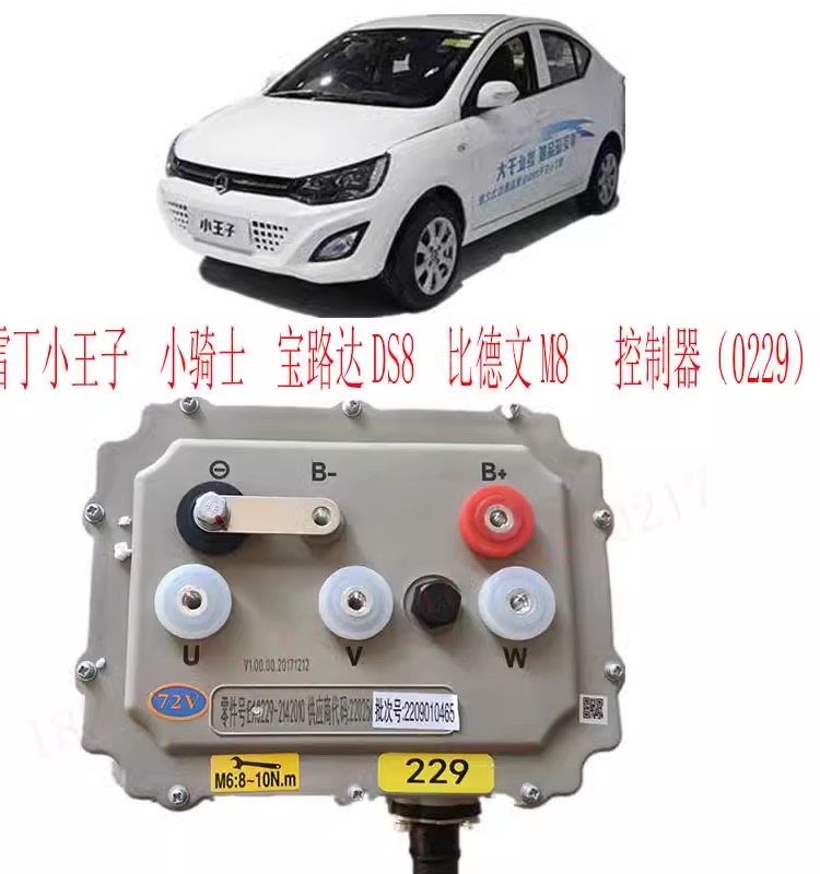 Leiden Little Prince Little Knight Controller Bi German M8 Baoluoda Ds8 Electric Car Original 229 Control