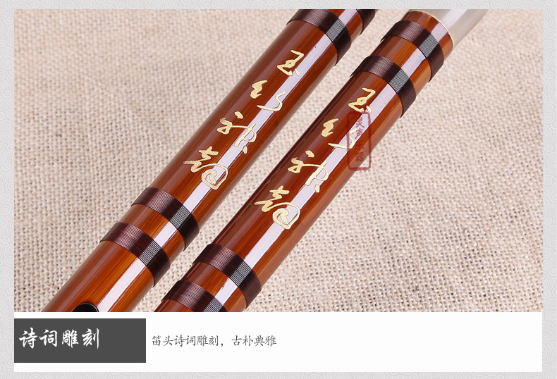 Nhạc cụ Lingsheng Dong Xuehua sáo trúc sáo trúc một cây sáo độc tấu thổi sáo trúc trực tiếp CD giai điệu - Nhạc cụ dân tộc đàn nhị hồ