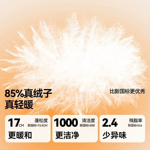 Зимняя модная удерживающая тепло летняя одежда с пухом