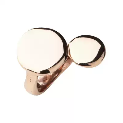 fieldnotes )(Italy) MONICA CASTIGLIONI ring-SPATUSCE