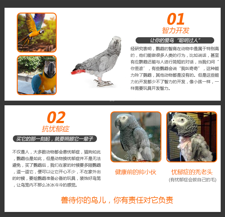 Đồ chơi chim đu chim Lồng chim Phụ kiện chim cung Hoa mẫu đơn Xuanfeng Tiger Vẹt Nhẫn treo cầu treo - Chim & Chăm sóc chim Supplies lồng vẹt