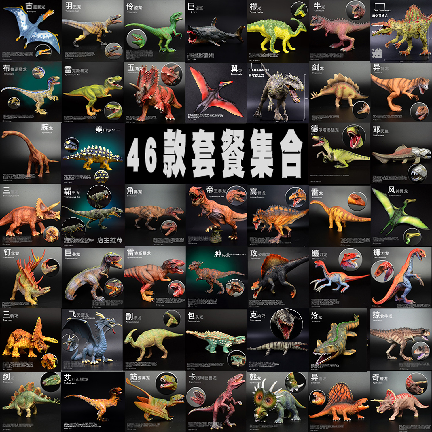 Bully Dragon Dinosaur Toy Model Suit Children Emulation Animal Full Set Boy Diary Gift Plastic